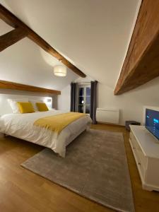um quarto com uma cama grande e uma televisão em LES DOUVES, charmante dépendance du château em Crèvecoeur-en Brie