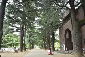 einen von Bäumen gesäumten Bürgersteig neben einem Gebäude mit Bänken in der Unterkunft Hotel Montagne Matsumoto in Matsumoto