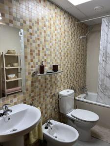 a bathroom with a toilet and a sink and a tub at Ático con terrazas en el caso antiguo in Huesca