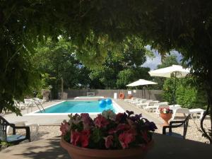 a swimming pool with a table with a pot of flowers at CASALE ANTICO SOBBORGO in Vitorchiano