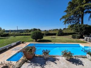 - une piscine avec des plantes en pot dans une cour dans l'établissement Bello Viso, proche Saint Emilion, à Belvès-de-Castillon