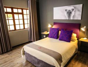a bedroom with a large bed with purple pillows at Grey Goose Game Lodge in Newcastle