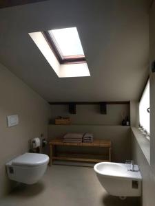 ein Badezimmer mit einem WC, einem Waschbecken und einem Dachfenster in der Unterkunft Appartamento i Sentieri 23 in Riva del Garda