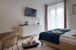 Giường trong phòng chung tại Apartamenty Feniks