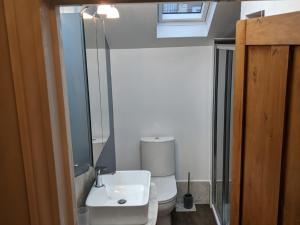 y baño con aseo, lavabo y espejo. en Lovey Stable mews in hidden location, en Royal Tunbridge Wells