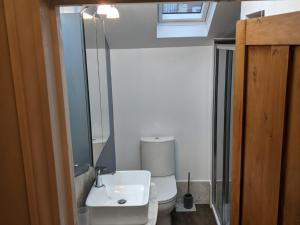 a bathroom with a toilet and a sink and a mirror at Lovey Stable mews in hidden location in Royal Tunbridge Wells