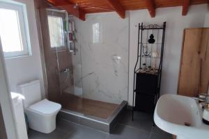 a bathroom with a shower and a toilet and a sink at garden house nafplio in Nafplio +16 photos