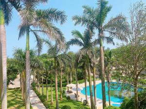 วิวสระว่ายน้ำที่ Khách Sạn Hoàng Mai Dung Quất หรือบริเวณใกล้เคียง