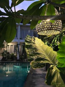 a house with a swimming pool and some plants at Bingin Inn in Uluwatu