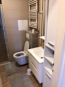 Baño pequeño con aseo y lavamanos en Apartman Luka, en Slavonski Brod