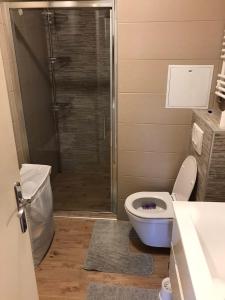 a bathroom with a shower with a toilet and a sink at Apartman Luka in Slavonski Brod