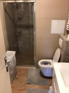 y baño con ducha, aseo y lavamanos. en Apartman Luka, en Slavonski Brod