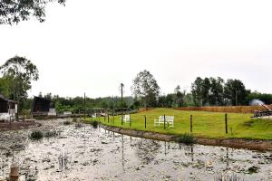 Imagen de la galería de TimeOut Island Glamping Resort, en Ấp Binh Trung