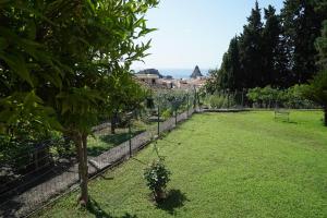a garden with a fence and a small tree at La Magnolia in Acitrezza