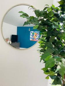 a mirror with a plant in front of a wall at Stunning huge openplan 2Bed flat in Woking