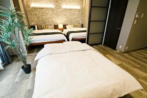 Zimmer mit 3 Betten und Topfpflanze in der Unterkunft The Masters Stay SETAGAYA KYODO in Tokio