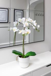 a white orchid plant sitting on a counter in a bathroom at Riversleigh 