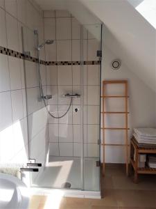 a shower with a glass door in a bathroom at Ferienwohnungen "Zum Lochfeld" in Wittersheim