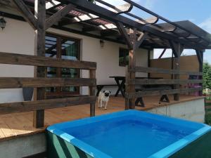 a dog standing on the patio of a house with a swimming pool at Chaloupka u Montyho in Vavřinec