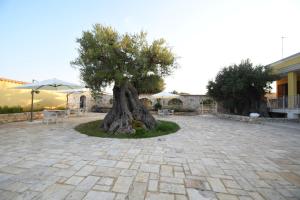 a tree in a courtyard with tables and umbrellas at Il Filo Di Arianna-Mola-Bed and Breakfast in Mola di Bari