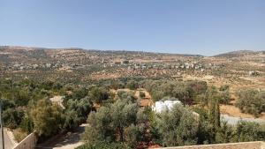 vistas a un valle con árboles y edificios en مزرعة جرش en Jerash