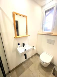 a bathroom with a toilet and a sink and a mirror at Weener - City Apartment mit Garten in Weener