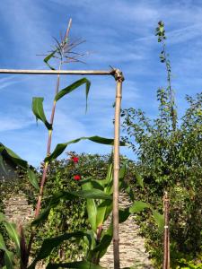 un poste de bambú en un jardín con plantas en 77 Bleu, en Balleroy