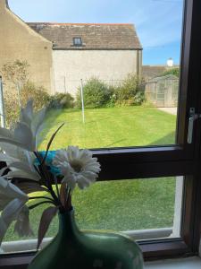 a green vase with a flower in a window at Thurso Bay Holidays in Thurso