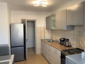 a kitchen with a refrigerator and a sink in it at Victoriei Boulevard Private Apartment in Braşov