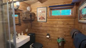 een kleine badkamer met een wastafel en een toilet bij Retro private Lodge with hot tub Nr Dartmoor in Newton Abbot