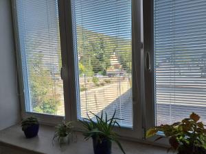 Zahrada ubytování Garsoniera DUKLA 289