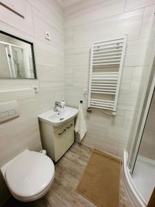 a bathroom with a toilet and a sink at Palace Quarter 1 Peaceful Modern Central Top Floor Apartment in Budapest