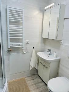 bagno con lavandino, servizi igienici e specchio di Palace Quarter 1 Peaceful Modern Central Top Floor Apartment a Budapest