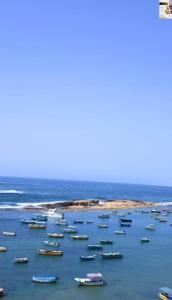 un gruppo di imbarcazioni sedute in acqua di شقه اكثر روعه فيو بحر مباشر ad Alessandria d'Egitto