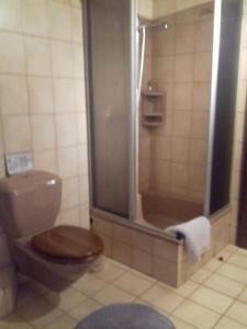 a bathroom with a toilet and a shower at Gästehaus Sonnenhöhe - Ihre Erlebnis-Programm-Schmiede in Beuren