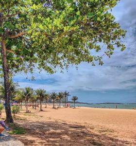 a beach with a bunch of palm trees and the ocean at Ap Brisa do Mar Praia da Costa in Vila Velha