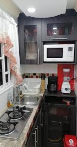 Virtuvė arba virtuvėlė apgyvendinimo įstaigoje Posada Amiel Forbes Apartament 204