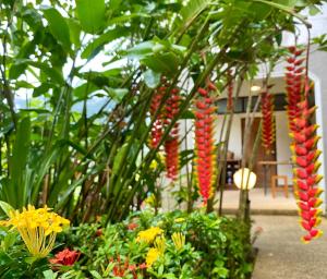 Zahrada ubytování Guesthouse 88 Phang Nga