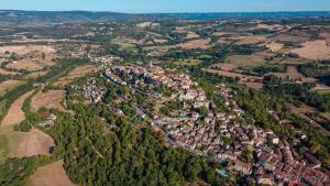 an aerial view of a town with trees and houses at Rue du Barri in Cordes-sur-Ciel