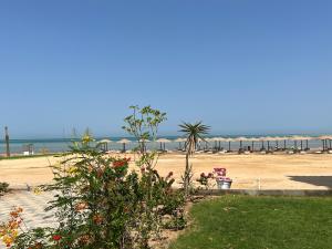 ハルガダにあるFanadir bay beach resortの花と海の景色を望む