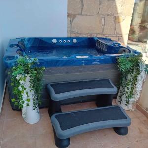 a blue tub with two potted plants and a bench at Sunset Boutique Guest House in Paphos City