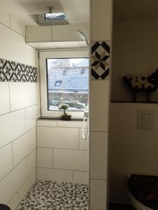 a bathroom with a shower with a window at Ferienhaus Aschersleben in Aschersleben