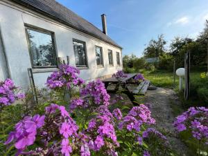 una casa con flores púrpuras delante de ella en Travelling Sun, en Give