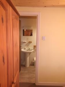 a bathroom with a sink and a toilet at Pond Cottage in Covington