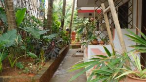 a garden with many plants in a building at Coco Moon in Morjim