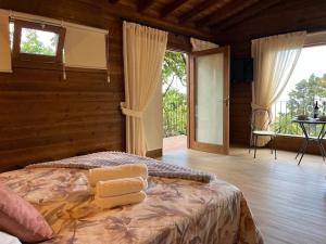 1 dormitorio con cama y ventana grande en Fabulosa Cabaña vía a El Teide en La Orotava