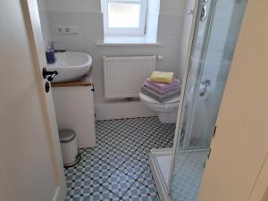 a bathroom with a toilet and a sink and a shower at Ferienwohnungen im Lüftlmalereck, Mussldomahaus in Oberammergau +43 photos