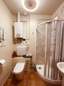 ein Bad mit einer Dusche, einem WC und einem Waschbecken in der Unterkunft B&BMagicHouse in Novara