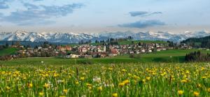 a town on a hill with a field of flowers at Ferienwohnung BergPfote - Hund herzlich willkommen in Scheidegg