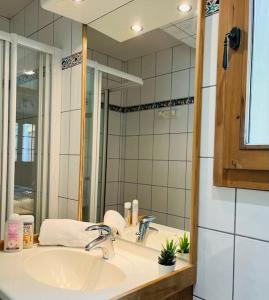 莫爾濟訥的住宿－Chalet Les Lanchettes，一间带水槽和镜子的浴室